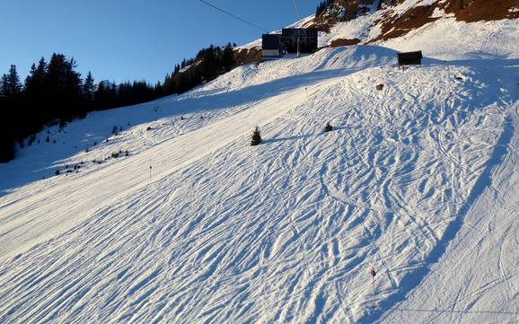 Domaines skiables pour skieurs confirmés et freeriders Lechtal (vallée du Lech) – Skieurs confirmés, freeriders Jöchelspitze – Bach