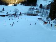 Piste facile au téléski Mühlhang à Zöblen