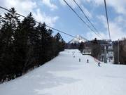 Les descentes en forêt dominent à Furano.