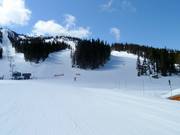 Vue sur les pistes Wishbone et Jersey Cream Road