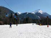 Piste de retour en vallée très facile Ski road №1