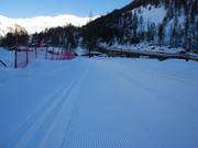 Piste de ski de fond parfaitement préparée