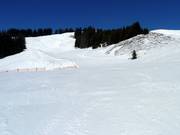 Piste facile Weiherkopfabfahrt