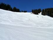 Piste difficile Weiherkopf FIS-Hommes