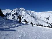 Piste facile Geisl Hochalm-Ganzer X-press