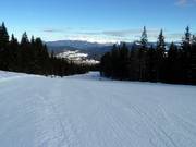 Large piste Coston n° 28