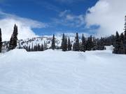 Vue de la vallée sur le domaine skiable Grand Targhee