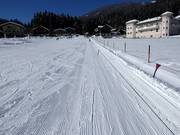 Eggerfeld - Télécorde/remonte-pente à câbles bas