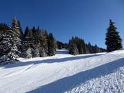 Piste facile Seehof