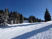 Domaines skiables pour les débutants dans le massif de l'Ortles-Cevedale – Débutants Vigiljoch (Monte San Vigilio) – Lana