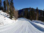 Descente vers la vallée n° 1 vers Sillian