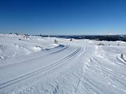 Piste de ski de fond Toppspåret au sommet