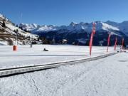 Miniglisse Bendolla - Tapis roulant/Moving Carpet