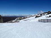 Piste de liaison Conrod Straight