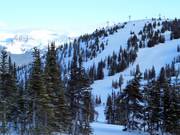 Vue sur les pistes au télésiège Eagle Ridge