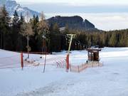 Wald-Lift - Téléski à pioches