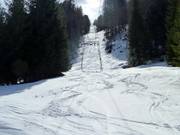 Gelbhansekopflift - Téléski à pioches