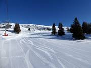 Préparation parfaite des pistes au Zettersfeld