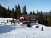 Chalet de restauration recommandé : Bijeli Javor