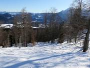 Traces dans la neige poudreuse au Götschenkopf