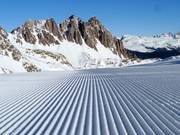 Traces fraîches dans la neige