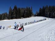 Skiförderband Mittelstation Koglmoos - Tapis roulant/Moving Carpet