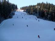 Piste n° 1 Pretekárska Priehyba-Záhradky