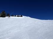 Descente Wildkogelbahn Berg-Mitte