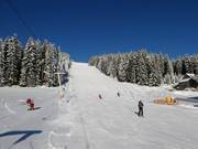 Descente sud téléski Rittisberg
