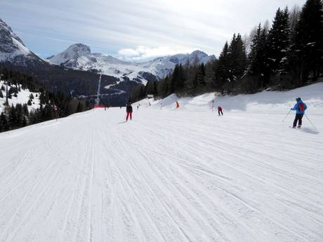 Diversité des pistes Val di Fassa – Diversité des pistes Belvedere/Col Rodella/Ciampac/Buffaure – Canazei/Campitello/Alba/Pozza di Fassa