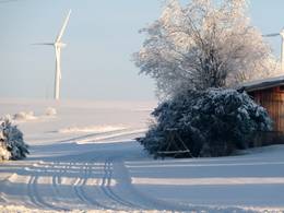 Halde – Westerheim