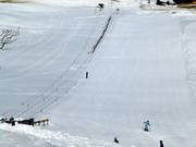 Kinderlift II - Télécorde/remonte-pente à câbles bas