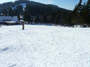 Préparation des pistes