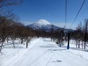 Piste facile pour débutants au Niseko Village