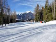 Descente vers la vallée (n° 1)