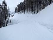 Piste facile Way Home