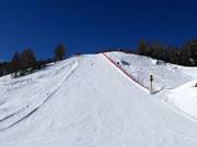 Piste noire au téléphérique Carosello 3000