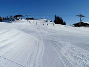 Piste facile n° 18 Sonnenrast sur l’Ehrenbachhöhe