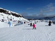 Zone d'entraînement Alpine Meadow