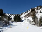 Piste facile de descente vers la vallée River Run