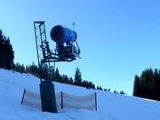 Canon à neige au Hausberg