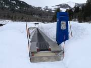 Grizzly Carpet - Tapis roulant/Moving Carpet