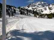 Espace d'entraînement au téléski de l'école de ski