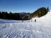 Piste facile Autobahn