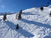 Zone de poudreuse au Langenstein