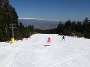 Piste très facile Ski road №1a au téléski Vlek Chalin
