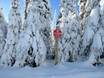 Chaîne Columbia: Domaines skiables respectueux de l'environnement – Respect de l'environnement Sun Peaks