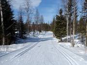 Pistes de ski de fond à Kläppen