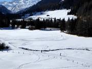 Ski de fond à Splügen