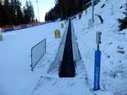 Dywan - Tapis roulant/Moving Carpet